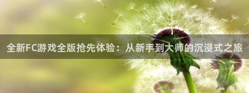 多彩娱乐手机网页版登录：全新FC游戏全版抢先体验：从新手到大