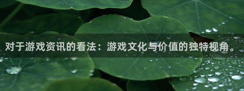 多彩娱乐Ii：对于游戏资讯的看法：游戏文化与价值的独特视角。