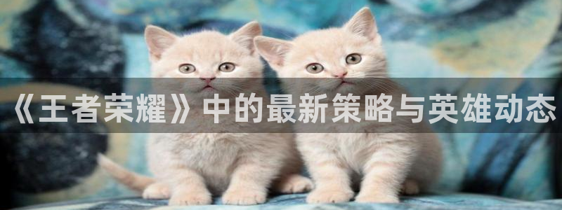 多彩娱乐平台登录线路：《王者荣耀》中的最新策略与英雄动态