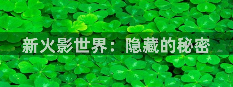 多彩娱乐登录网址：新火影世界：隐藏的秘密