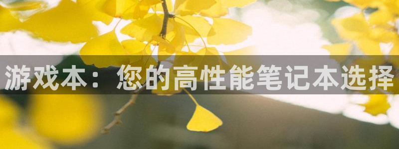 多彩娱乐平台官网登录：游戏本：您的高性能笔记本选择