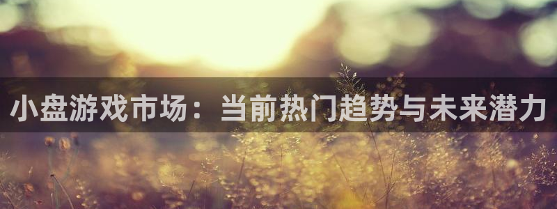 多彩娱乐平台注册资金多少：小盘游戏市场：当前热门趋势与未来潜