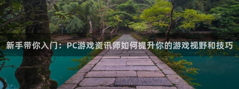 多彩娱乐登陆测速：新手带你入门：PC游戏资讯师如何提升你的游