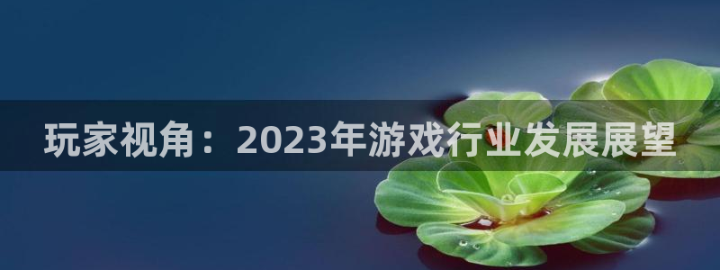 多彩娱乐平台官网登录：玩家视角：2023年游戏行业发展展望