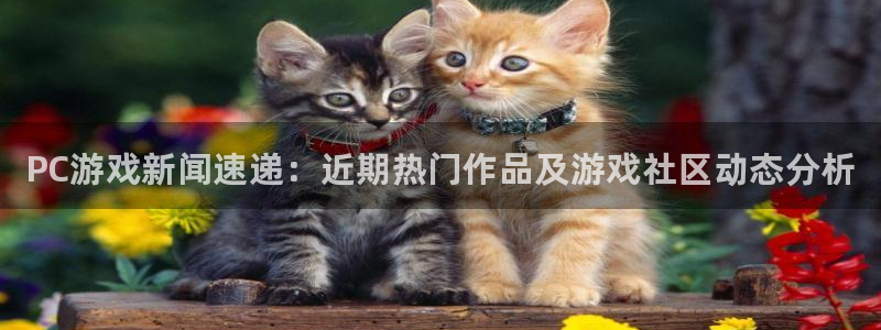 多彩娱乐注册官方登录app：PC游戏新闻速递：近期热门作品及
