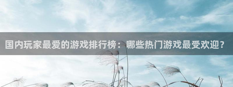 多彩娱乐怎么注册：国内玩家最爱的游戏排行榜：哪些热门游戏最受