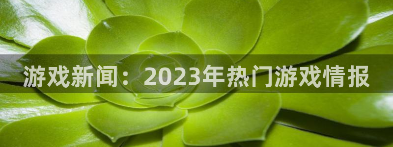 多彩娱乐下载链接