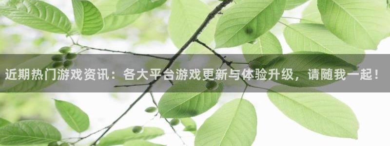多彩娱乐登陆地址：近期热门游戏资讯：各大平台游戏更新与体验升
