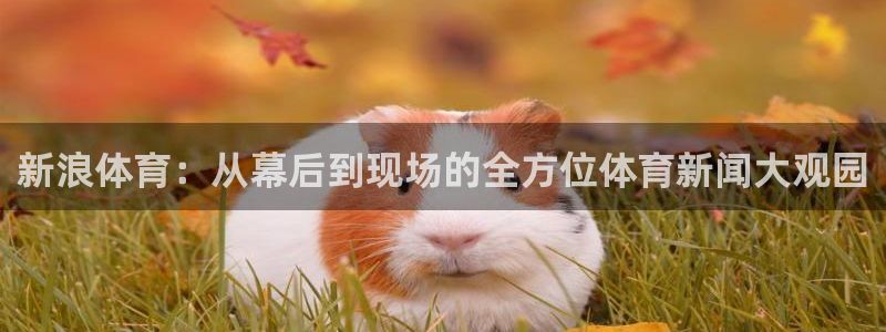 看球吧免费直播