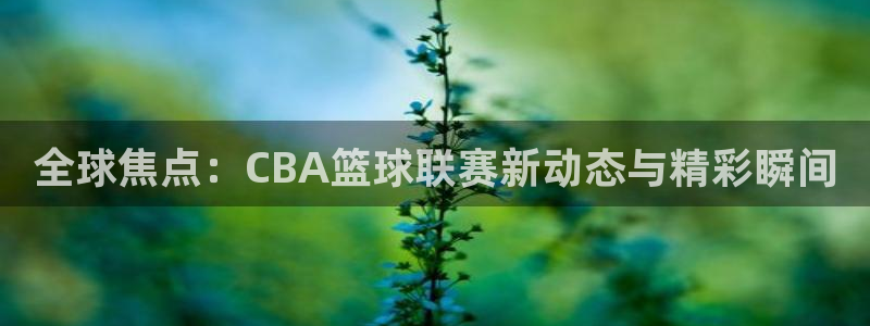 nba看球吧免费直播