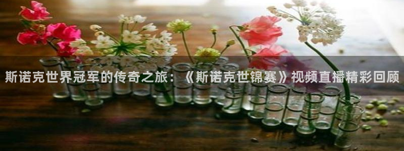 看球吧直播 在线观看nba