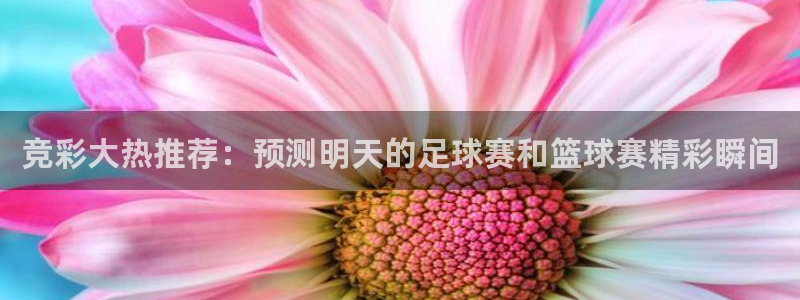 看球吧nba在线高清免费直播：竞彩大热推荐：预测明天的足球赛和篮球赛精彩瞬间
