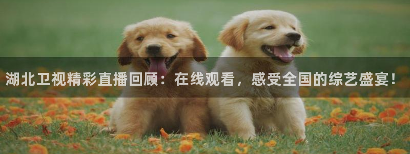 jrs直播低调看球吧：湖北卫视精彩直播回顾：在线观看，感受全国的综艺盛宴！