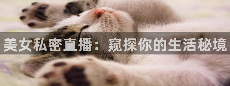 看球吧直播免费观看：美女私密直播：窥探你的生活秘境